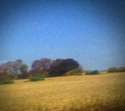 Sun Kil Moon : Benji